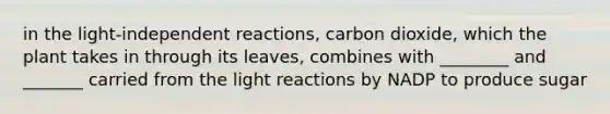 in the light-independent reactions, carbon dioxide, which the plant takes in through its leaves, combines with ________ and _______ carried from the <a href='https://www.questionai.com/knowledge/kSUoWrrvoC-light-reactions' class='anchor-knowledge'>light reactions</a> by NADP to produce sugar