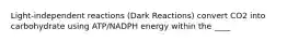 Light-independent reactions (Dark Reactions) convert CO2 into carbohydrate using ATP/NADPH energy within the ____