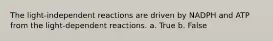 The light-independent reactions are driven by NADPH and ATP from the light-dependent reactions. a. True b. False