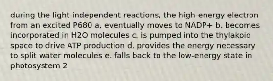 during the light-independent reactions, the high-energy electron from an excited P680 a. eventually moves to NADP+ b. becomes incorporated in H2O molecules c. is pumped into the thylakoid space to drive ATP production d. provides the energy necessary to split water molecules e. falls back to the low-energy state in photosystem 2