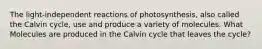 The light-independent reactions of photosynthesis, also called the Calvin cycle, use and produce a variety of molecules. What Molecules are produced in the Calvin cycle that leaves the cycle?