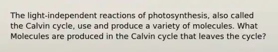 The light-independent reactions of photosynthesis, also called the Calvin cycle, use and produce a variety of molecules. What Molecules are produced in the Calvin cycle that leaves the cycle?