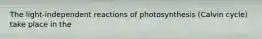 The light-independent reactions of photosynthesis (Calvin cycle) take place in the