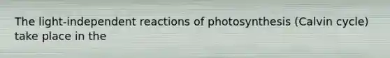 The light-independent reactions of photosynthesis (Calvin cycle) take place in the