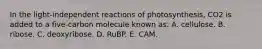 In the light-independent reactions of photosynthesis, CO2 is added to a five-carbon molecule known as: A. cellulose. B. ribose. C. deoxyribose. D. RuBP. E. CAM.