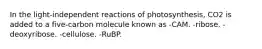 In the light-independent reactions of photosynthesis, CO2 is added to a five-carbon molecule known as -CAM. -ribose. -deoxyribose. -cellulose. -RuBP.