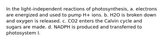 In the light-independent reactions of photosynthesis, a. electrons are energized and used to pump H+ ions. b. H2O is broken down and oxygen is released. c. CO2 enters the Calvin cycle and sugars are made. d. NADPH is produced and transferred to photosystem I.