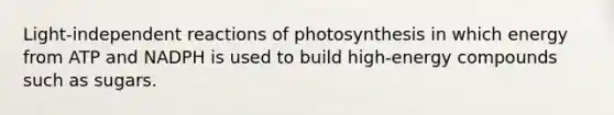 Light-independent reactions of photosynthesis in which energy from ATP and NADPH is used to build high-energy compounds such as sugars.