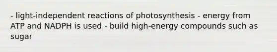 - light-independent reactions of photosynthesis - energy from ATP and NADPH is used - build high-energy compounds such as sugar