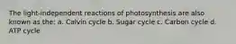 The light-independent reactions of photosynthesis are also known as the: a. Calvin cycle b. Sugar cycle c. Carbon cycle d. ATP cycle