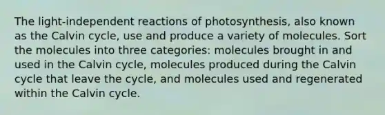 The light‑independent reactions of photosynthesis, also known as the Calvin cycle, use and produce a variety of molecules. Sort the molecules into three categories: molecules brought in and used in the Calvin cycle, molecules produced during the Calvin cycle that leave the cycle, and molecules used and regenerated within the Calvin cycle.