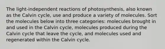 The light-independent reactions of photosynthesis, also known as the Calvin cycle, use and produce a variety of molecules. Sort the molecules below into three categories: molecules brought in and used in the Calvin cycle, molecules produced during the Calvin cycle that leave the cycle, and molecules used and regenerated within the Calvin cycle.