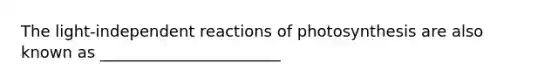 The light-independent reactions of photosynthesis are also known as _______________________