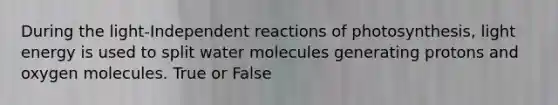 During the light-Independent reactions of photosynthesis, light energy is used to split water molecules generating protons and oxygen molecules. True or False