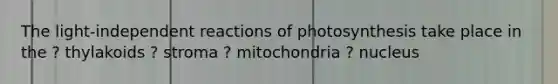 The light-independent reactions of photosynthesis take place in the ? thylakoids ? stroma ? mitochondria ? nucleus