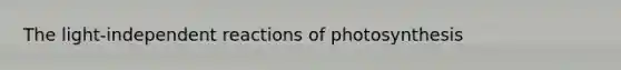 The light-independent reactions of photosynthesis