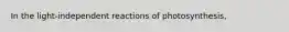 In the light-independent reactions of photosynthesis,