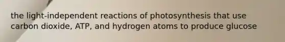 the light-independent reactions of photosynthesis that use carbon dioxide, ATP, and hydrogen atoms to produce glucose