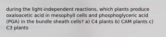 during the light-independent reactions, which plants produce oxaloacetic acid in mesophyll cells and phosphoglyceric acid (PGA) in the bundle sheath cells? a) C4 plants b) CAM plants c) C3 plants