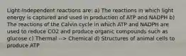 Light-Independent reactions are: a) The reactions in which light energy is captured and used in production of ATP and NADPH b) The reactions of the Calvin cycle in which ATP and NADPH are used to reduce CO2 and produce organic compounds such as glucose c) Thermal --> Chemical d) Structures of animal cells to produce ATP