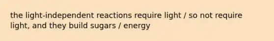 the light-independent reactions require light / so not require light, and they build sugars / energy