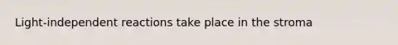 Light-independent reactions take place in the stroma