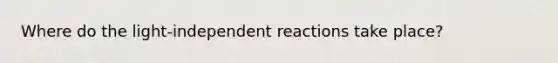 Where do the light-independent reactions take place?