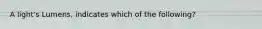 A light's Lumens, indicates which of the following?