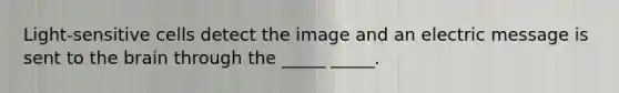 Light-sensitive cells detect the image and an electric message is sent to the brain through the _____ _____.