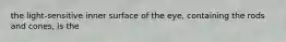 the light-sensitive inner surface of the eye, containing the rods and cones, is the