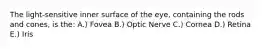 The light-sensitive inner surface of the eye, containing the rods and cones, is the: A.) Fovea B.) Optic Nerve C.) Cornea D.) Retina E.) Iris