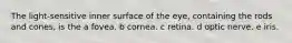 The light-sensitive inner surface of the eye, containing the rods and cones, is the a fovea. b cornea. c retina. d optic nerve. e iris.