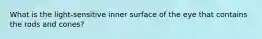 What is the light-sensitive inner surface of the eye that contains the rods and cones?