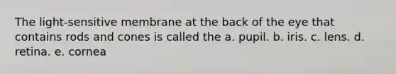 The light-sensitive membrane at the back of the eye that contains rods and cones is called the a. pupil. b. iris. c. lens. d. retina. e. cornea