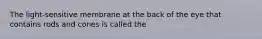 The light-sensitive membrane at the back of the eye that contains rods and cones is called the
