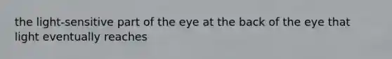 the light-sensitive part of the eye at the back of the eye that light eventually reaches