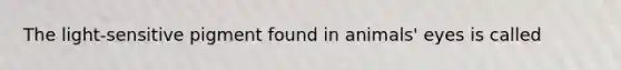 The light-sensitive pigment found in animals' eyes is called
