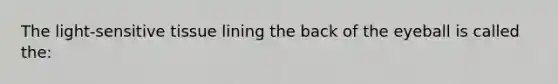 The light-sensitive tissue lining the back of the eyeball is called the: