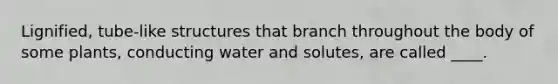 Lignified, tube-like structures that branch throughout the body of some plants, conducting water and solutes, are called ____.
