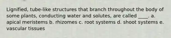 Lignified, tube-like structures that branch throughout the body of some plants, conducting water and solutes, are called ____. a. apical meristems b. rhizomes c. root systems d. shoot systems e. vascular tissues