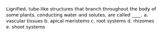 Lignified, tube-like structures that branch throughout the body of some plants, conducting water and solutes, are called ____. a. vascular tissues b. apical meristems c. root systems d. rhizomes e. shoot systems