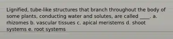 Lignified, tube-like structures that branch throughout the body of some plants, conducting water and solutes, are called ____. a. rhizomes b. <a href='https://www.questionai.com/knowledge/k1HVFq17mo-vascular-tissue' class='anchor-knowledge'>vascular tissue</a>s c. apical meristems d. shoot systems e. root systems