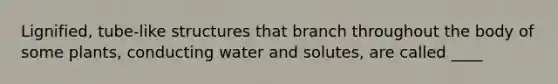 Lignified, tube-like structures that branch throughout the body of some plants, conducting water and solutes, are called ____