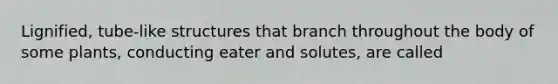 Lignified, tube-like structures that branch throughout the body of some plants, conducting eater and solutes, are called