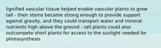 lignified vascular tissue helped enable vascular plants to grow tall - their stems became strong enough to provide support against gravity, and they could transport water and mineral nutrients high above the ground - tall plants could also outcompete short plants for access to the sunlight needed for photosynthesis