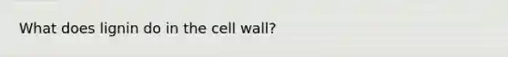 What does lignin do in the cell wall?