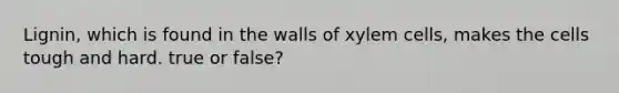 Lignin, which is found in the walls of xylem cells, makes the cells tough and hard. true or false?