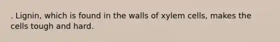 . Lignin, which is found in the walls of xylem cells, makes the cells tough and hard.