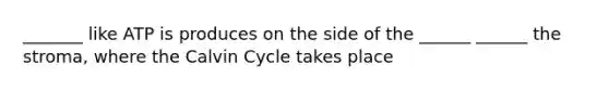 _______ like ATP is produces on the side of the ______ ______ the stroma, where the Calvin Cycle takes place