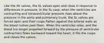 Like the AV valves, the SL valves open and close in response to differences in pressure. In the SL case, when the ventricles are contracting and intraventricular pressure rises above the pressure in the aorta and pulmonary trunk, the SL valves are forced open and their cusps flatten against the arterial walls as the blood rushes past them. When the ventricles relax, and the blood (no longer propelled forward by the pressure of ventricular contraction) flows backward toward the heart, it fills the cusps and closes the valves.